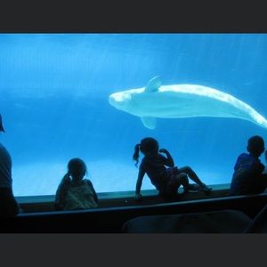 Meet your Posher, Hailey